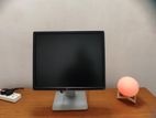 DELL Monitor