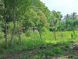 Land for Sale in Polonnaruwa