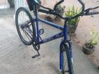 DSI Bicycle