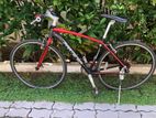 Italian Road Bicycle
