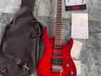 Electric Guitar