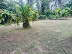 Ja Ela : 24.25 perches Land for Sale