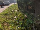 Ja Ela 44 Perches of Commercial Land for Sale