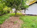 Ja-Ela Ganemulla Road Residential Land for Sale