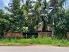 Ja-Ela Main Road Facing Makavita