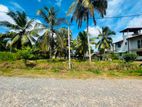 JA-ELA PRIME RESIDENTIAL LAND FOR SALE – (GALKANUWA JUNCTION)