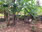 Ja Ela Suhada Mawatha 20 Perches Land for Sale