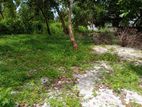 Land for Sale in Ja Ela