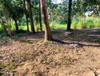 ජාඇල කණුවන පර්චස් 14.5 ක් විකිණීමට