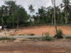 ජාඇලින් හොඳම ඉඩම best land in jaela