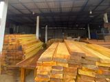 Raw Timber