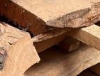 Jack Timber