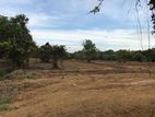 Jaela Commercial Land for Sale