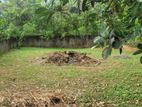 Jaela Isurupura Road 10perches Land For Sale.