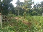 Jaela Yakkaduwa Niwandama land facing main road for sale