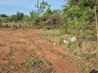 Jaffna Land for Sale