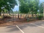 Jaffna Land Sale