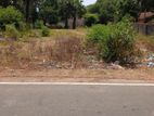Jaffna Land Sale