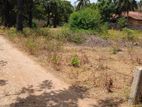 Jaffna Land Sale