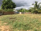 Jaffna Mirusuville 16 Parapu Land for Sale