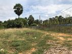 Jaffna Mirusuville 16 Parapu Land for sale in farm road.
