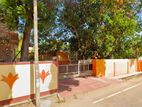 Jaffna Town Short Term Rental Bungalow