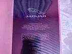 Jaguar Perfume