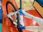 James Jordan Bicycle