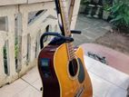 Japan Acoustic Guitar