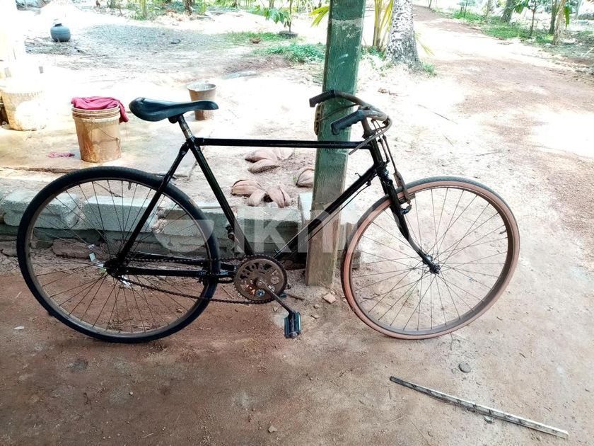 Japan Asia Bicycle in Chilaw ikman.lk
