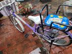 Bicycle 24"