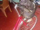 Shimano Mountain Bicycle
