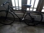 Japan Bike