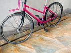 Ladies Bicycle