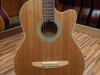 Guitar Japan Clasic