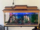 Japan Fish Tank