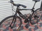 Hybrid Bicycle