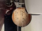 Japan Mandolin