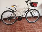 Japan Mountain Bicycle (Size-24)