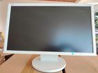 Japan NEC LED Monitor