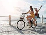 japan panasonic brand e bike