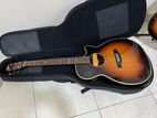 Semi Acoustic Guitar