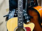Semi Acoustic Guitar