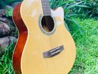 Accoustic Guitar