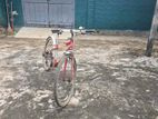 Japanese Cycle