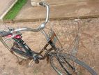 Japanese Cycle