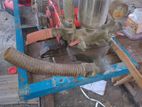 Japanese Pressure Gun