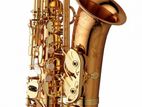 Jean-Paul AS860 Professional Alto Saxophone USA