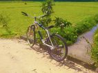 Bicycle (Used)