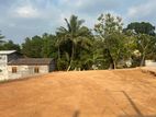 🌿 ජීවිතයේ ඊළඟ පියවරට සුදුසුම තැන